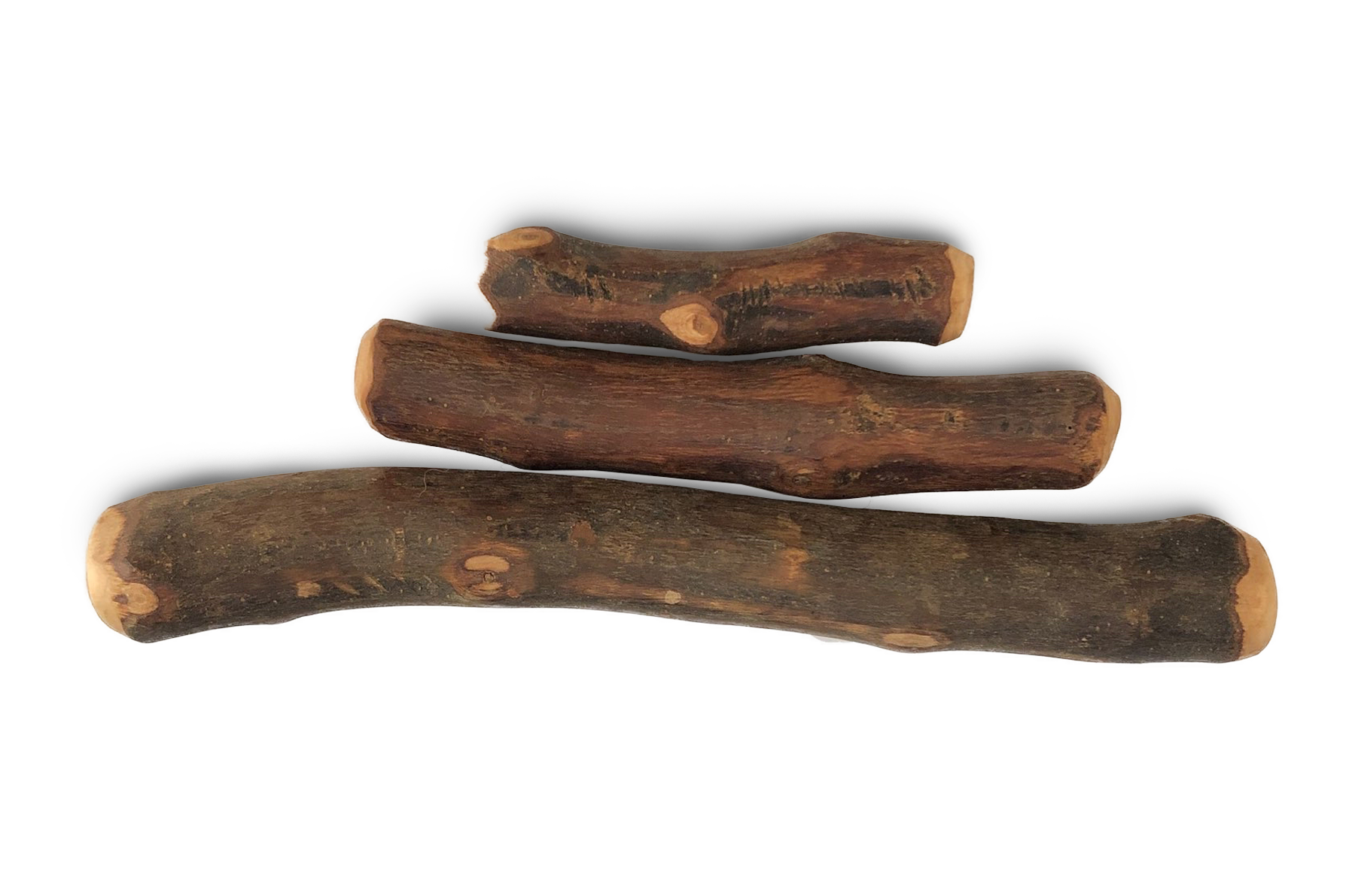 Olivenholz Kaustab für Hunde